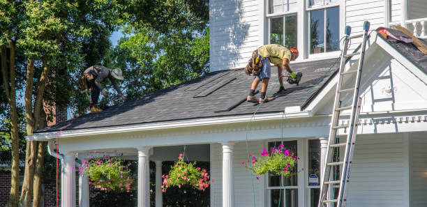 Steel Roofing